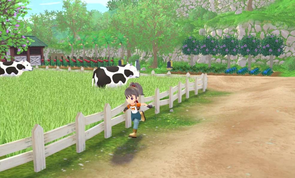 牧场物语 Welcome!美丽人生 Harvest Moon Welcome A Wonderful Life