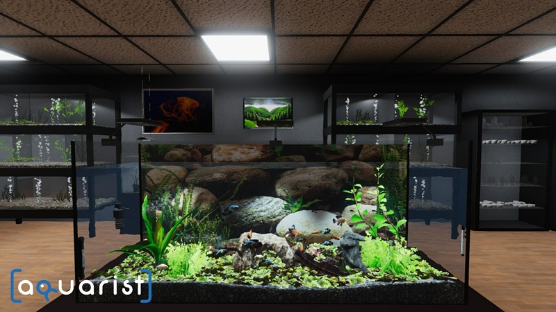 《Aquarist – 建造水族馆,养鱼,发展你的事业!》PC中文版下载-含v20250915